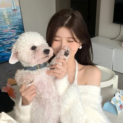 白痴盒子